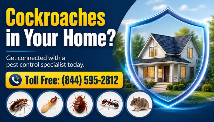 Call now for free pest inspection